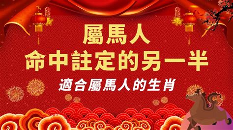 屬馬適合戴黃金嗎|生肖兔、馬，小心佩戴黃金招是非 